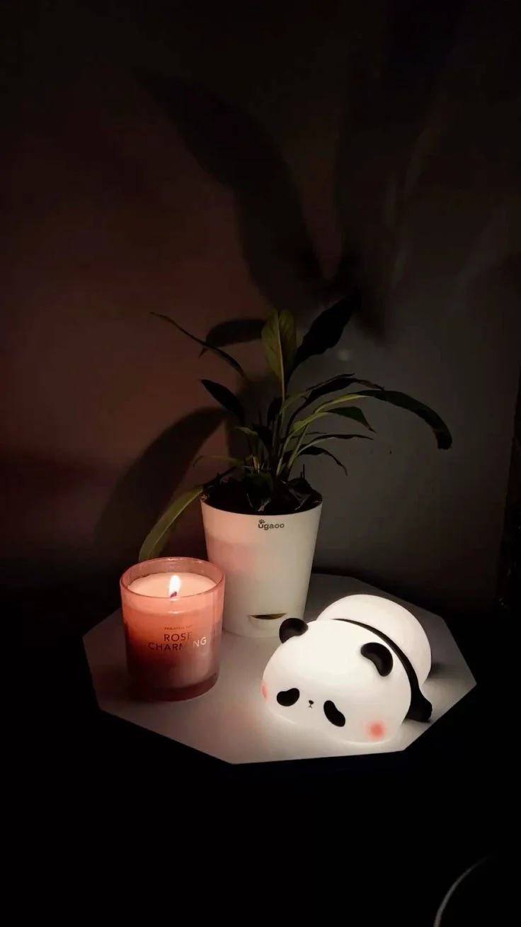 Rechargeable panda 
